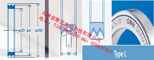 GMNL45X62X10油封圖紙