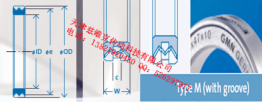 GMNM25X37X10油封圖紙